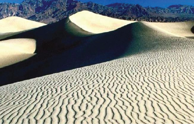 China’s Desert Ulan Buh into a Farm